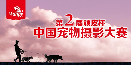 lewin乐玩官网-相信品牌力量