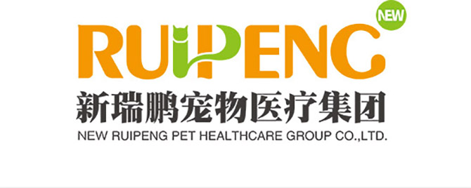 lewin乐玩官网-相信品牌力量